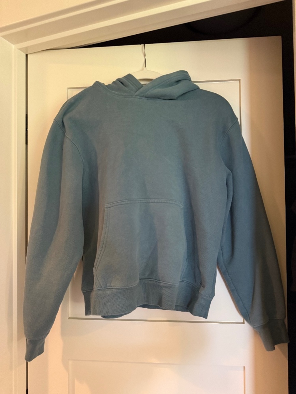 Aritzia Teal Sweatshirt
